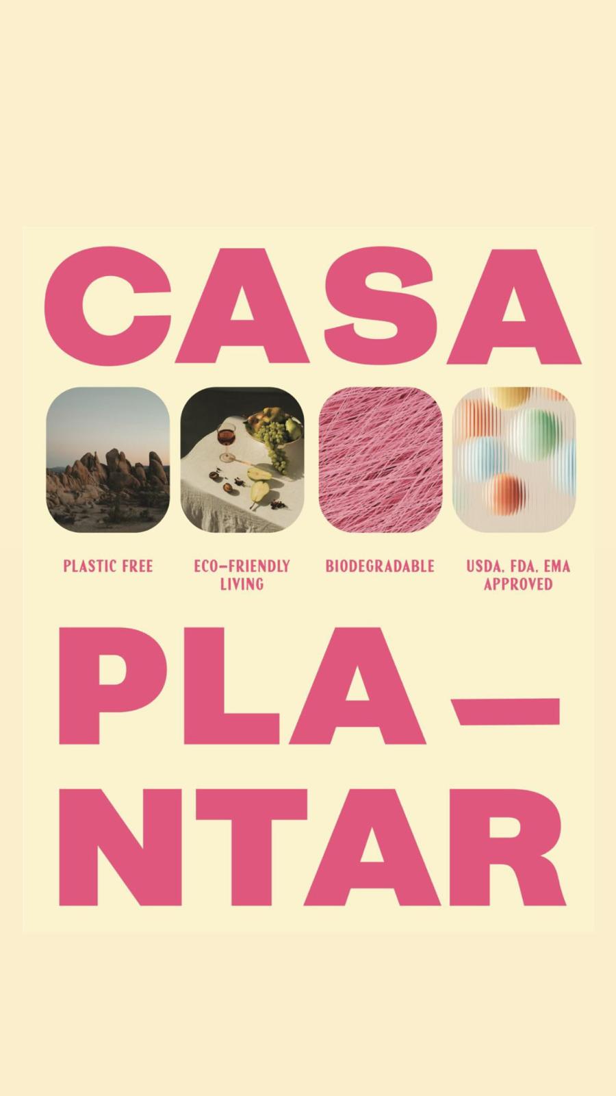 Agave Straws lifestyle